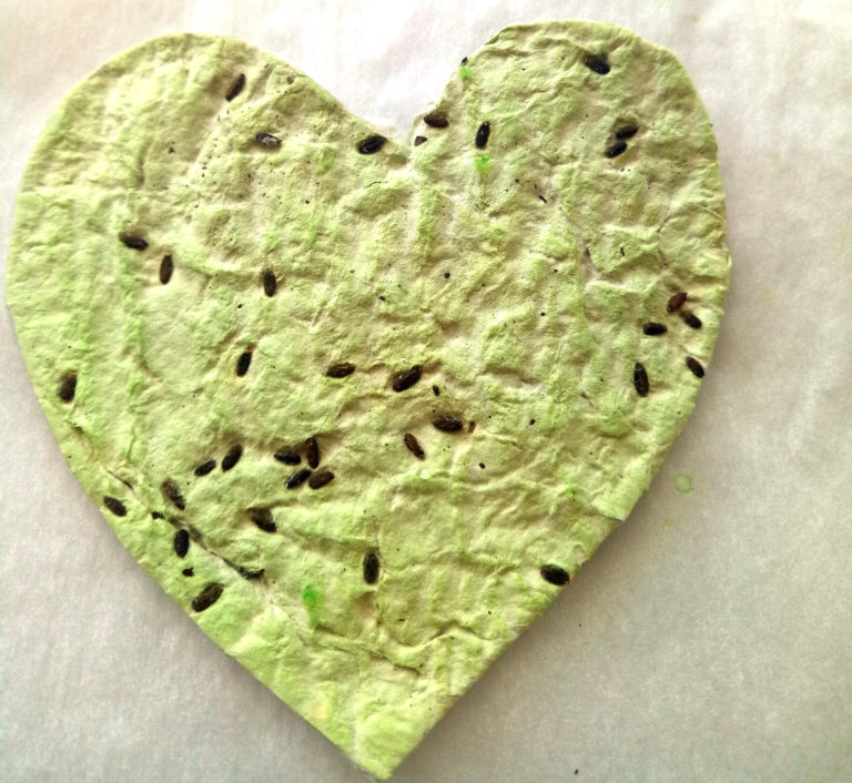 Seed Paper Heart