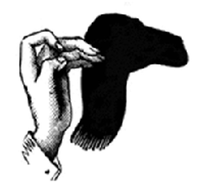 TOCK Crafts - Shadow Puppets 